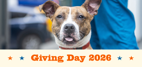 Giving Day 2026