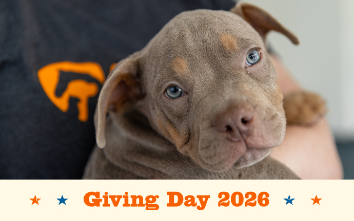 Giving Day 2026