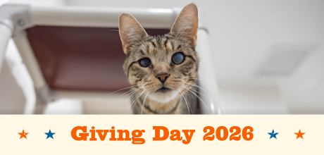 Giving Day 2026