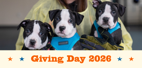 Giving Day 2026