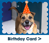 Card with dog with heart graphic around it and text: Honor Card>