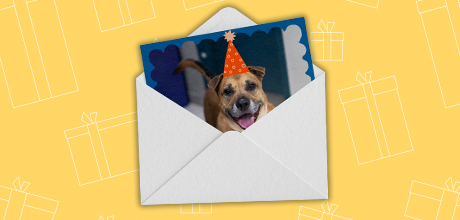 Card containing dog with birthday hat coming out of envelope