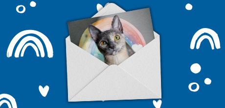Card containing cat with rainbow graphic coming out of envelope