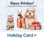 Happy Holidays Card