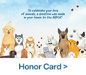 Honor Card