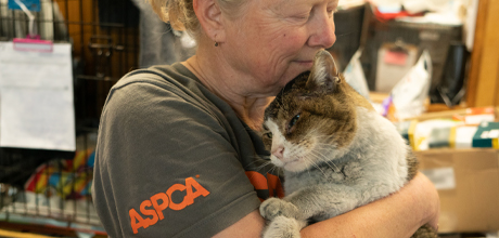 Woman holding cat during ASPCA rescue