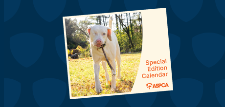 Special Edition Calendar ASPCA with Eddie the dog on the cover