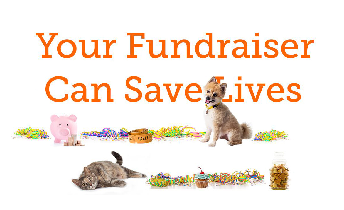 Team ASPCA Fundraiser Event