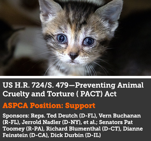 USA: Keep Innocent Animals Safe from Torture! | ASPCA