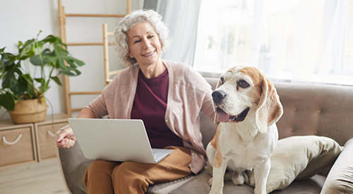 a hound on a couch next to an elderly woman with a laptop
