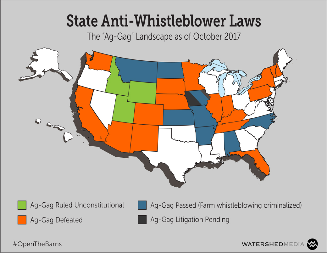 Sate Anti-Whistleblower Laws