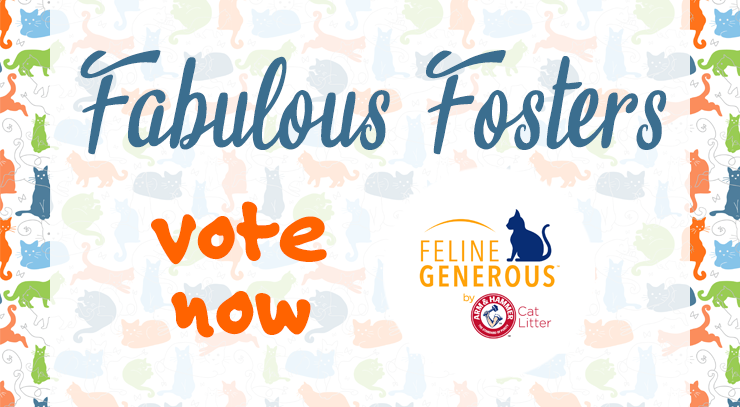 Which of Our Fabulous Fosters Is Your Favorite?