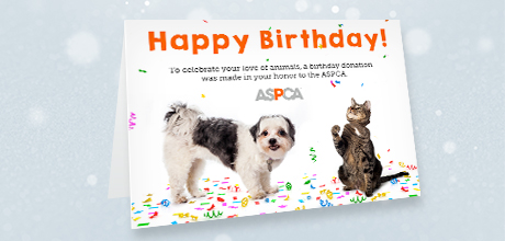 Birthday Gifts l Send A Card | Donate l Ways To Give l ASPCA