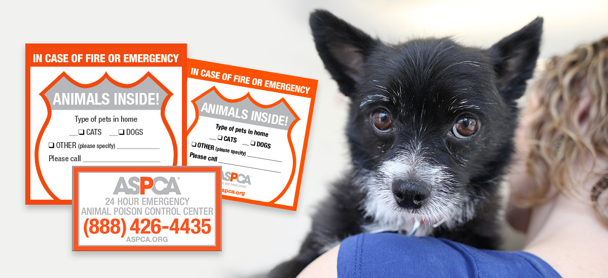 Pet Safety Pack | Emergency Rescue | Window Sticker | ASPCA