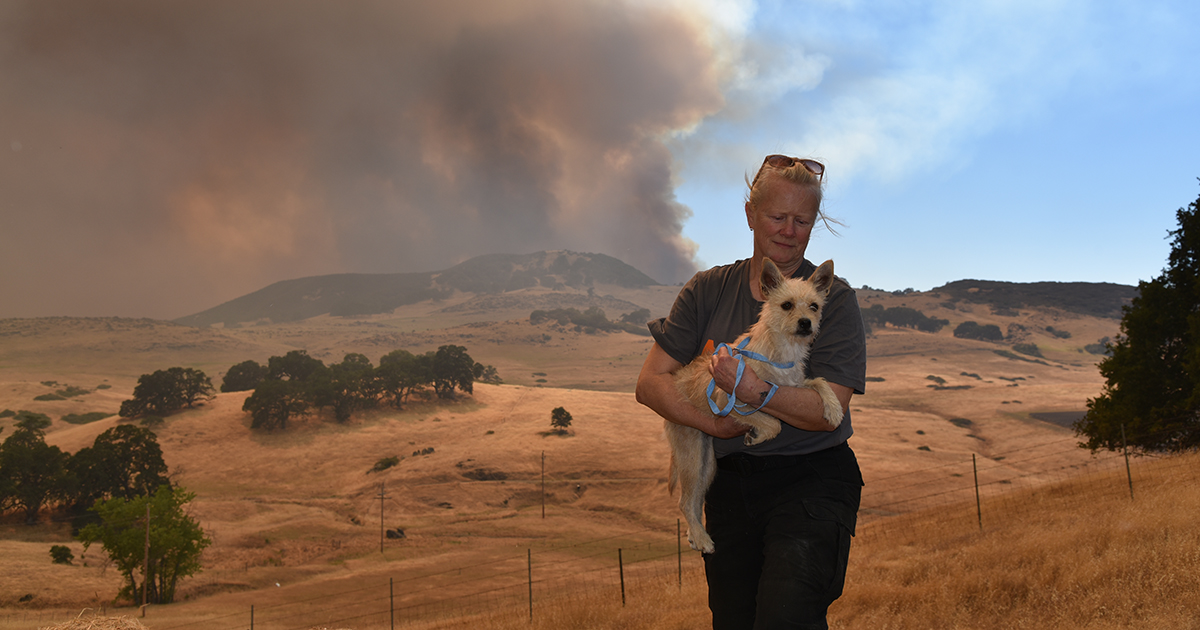 Help Colorado’s Pets Stay Safe When Natural Disasters Strike | ASPCA