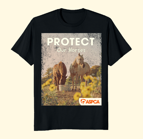 Protect Horses