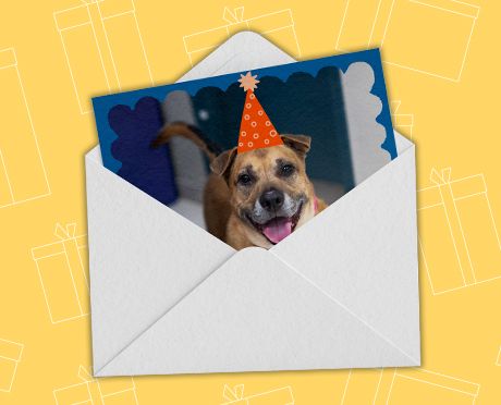 Card containing dog with birthday hat coming out of envelope