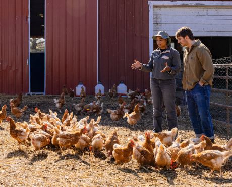 Farmer showing ASPCA employee chickens on pasture