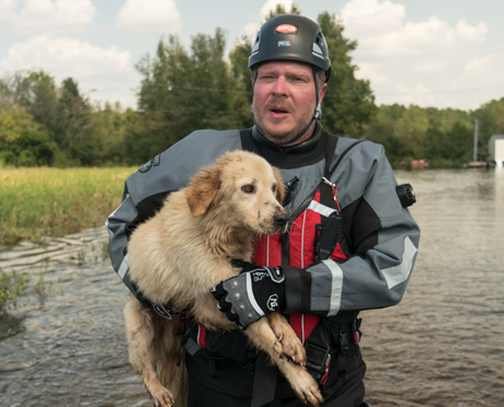 Photos of previous ASPCA rescue operations
