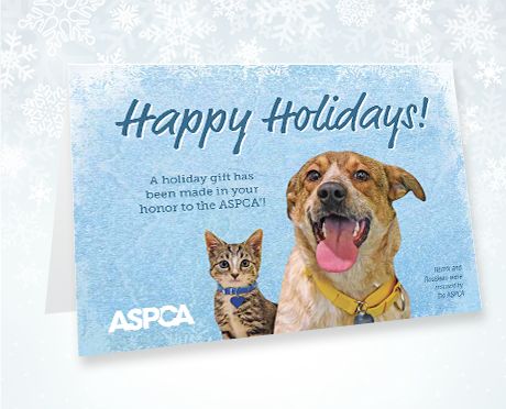 Holiday Honor Gifts | Tribute Donations| Send a Card | ASPCA