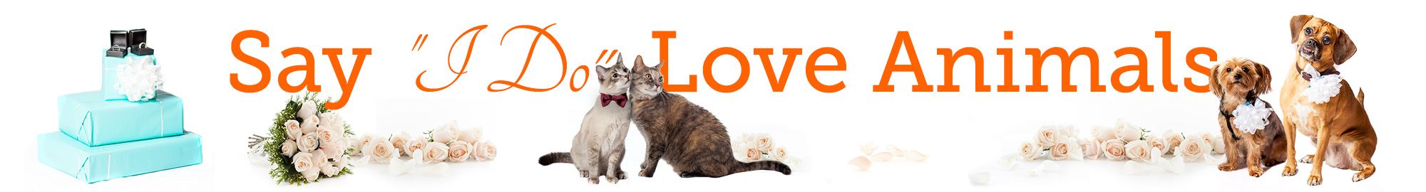 ASPCA Wedding Campaign ASPCA Wedding Campaign