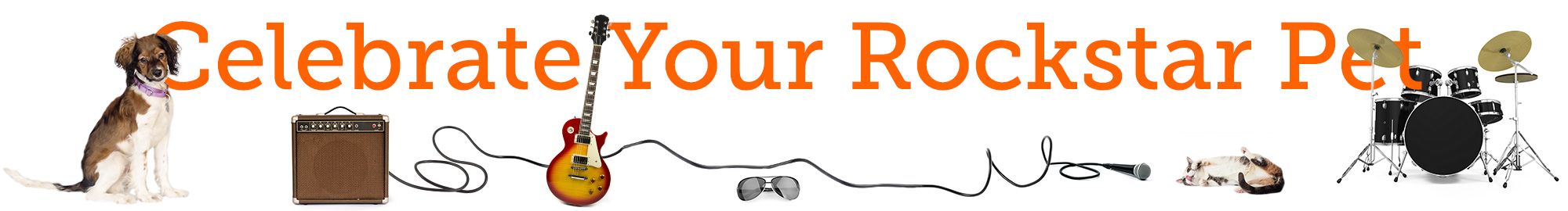 ASPCA Rock Star Pets Campaign ASPCA Rock Star Pets Campaign