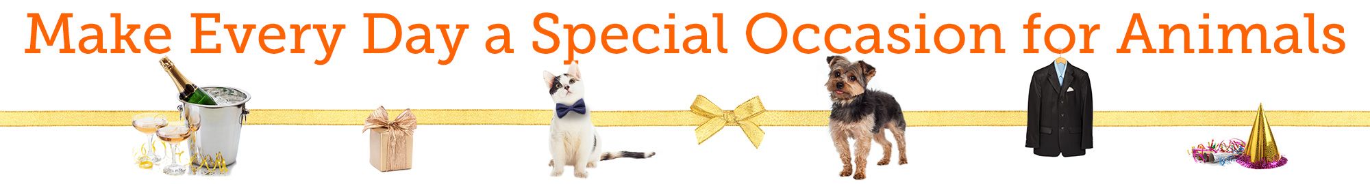 Special Occasion Campaign Special Occasion Campaign
