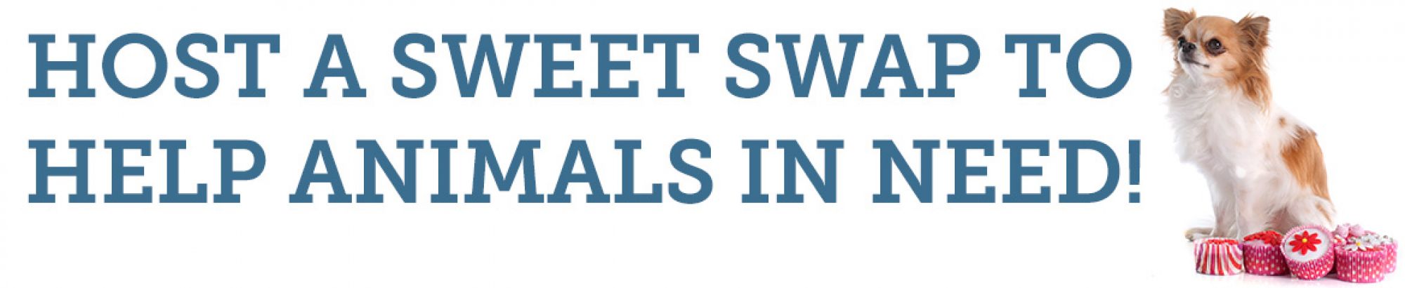 ASPCA Sweet Swap ASPCA Sweet Swap