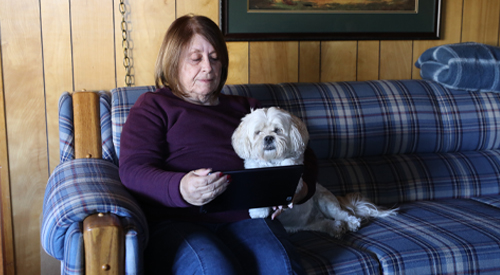 Woman and dog sitting on couch looking at tablet